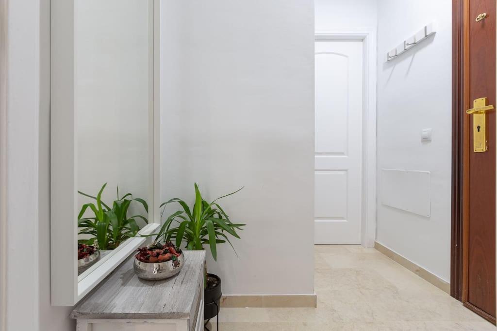 Apartamento Suite Centrico Málaga Extérieur photo